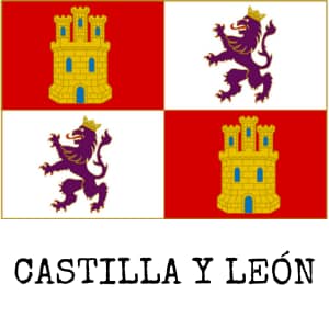 Castillos de Castilla y León, Testigos de la Historia Medieval