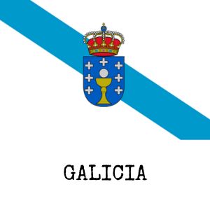 Castillos de Galicia, Definieron la Frontera con Portugal